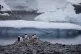 Gentoo penguins stand on rocks near the Chilean station Bern