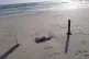 A body of an infant lies washed up on a beach in Zuwara, Lib