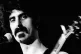 FUSION FANATIC: Frank Zappa