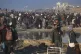 Displaced Palestinians arrive in the northern Gaza Strip, Ja