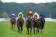 Iberian ridden by Tom Marquand wins the Betfred Champagne St