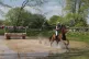 Georgie Strang with Cooley Earl during day four of the Mitsu