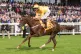 Billy No Mates ridden by Callum Rodriguez win the QTS Britis