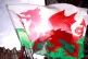General view of a Welsh flag before the Six Nations match at