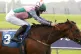 Orbaan in action at York racecourse last year 