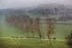 Colin Tizzard's Cheltenham Festival horses make their way to