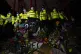  The breaking-up of the peaceful vigil for Sarah Everard has