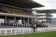 Cheltenham Festival at Cheltenham Racecourse