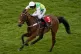 Nico de Boinville riding Champagne Mystery (L) win The Virgi