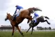 Mighty Thunder ridden by Tom Scudamore (right) clears a fenc