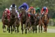 William Buick riding Native Trail (centre) wins The Chasemor