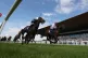 Cowboy Justice (right) at Curragh Racecourse