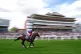 RAPID: Tactical ridden by jockey Rob Hornby last year