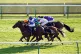 Turntable ridden by jockey Callum Shepherd (left) 