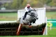 Unexpected Party ridden by jockey Harry Skelton clears a fen