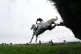 Snow Leopardess and Aiden Coleman jump