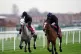 POWERFUL: Early Du Lemo (left) and Full Back at Newbury in N