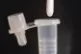 A person placing a swab from a Covid 19 lateral flow test in