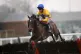 Stag Horn ridden by Nick Scholfield before going on to win B