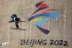 Great Britain's Kirsty Muir during the Women's Freeski Big A