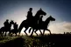 Ready to race: Horses on the gallops at Cheltenham Racecours