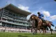 Anmaat ridden by Kevin Stott wins The John Smith's Cup durin