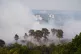 A large wildfire in woodland at Lickey Hills Country Park on