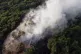 A large wildfire at Lickey Hills Country Park on the edge of