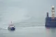 A group of people are brought in to Dover, Kent, onboard a B