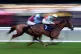 Ioupy Collonges ridden by Ben Bromley (right) on the way to 