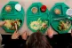Children eating a school meal