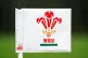 A general view of a corner flag featuring the Welsh Rugby Un