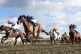 Divine Messesnger ridden by Callum Shepherd (second left) at