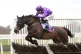 Rubaud ridden by Harry Cobden
