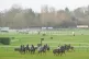 Wilie Mullins horses on the gallops ahead of the 2023 Chelte