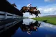 Runners and riders make the water jump during The Ultima Han
