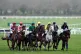 Runners and riders during the Brown Advisory Novices' Chase 