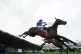 Energumene ridden by Paul Townend (left, blue silks) passes 