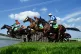 Runners and riders during the bet365 Gold Cup Handicap Chase