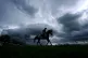 Lord Rapscallion ridden by Rose Dawes goes to post ahead of 