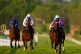 Artistic Star ridden by jockey Rob Hornby (right) on their w