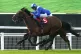 Hukum, ridden by jockey Jim Crowley 