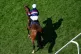 Dual Identity and Neil Callan before the Royal Hunt Cup duri