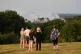 People watch a large wildfire in Lickey Hills Country Park o