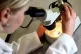 A woman looking at matter under a microscope, as irregular s