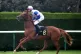 Valvano ridden by Hector Crouch in the British Stallion Stud