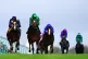 Zayina ridden by Billy Loughnane (second left) on their way 