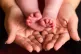 A mother holding the feet of her baby
