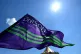 a Unison flag flying in front of the sun as public sector wo