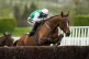 Weveallbeencaught ridden by Sam Twiston-Davies in action dur